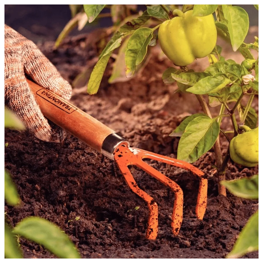 image_9205d76d-67af-4716-bf3d-d89099709afb