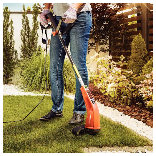 image_970f72b6-3041-443d-b276-48258893f10c