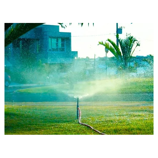 image_e9ad5f9b-c46f-45fb-945b-246614fa7e32