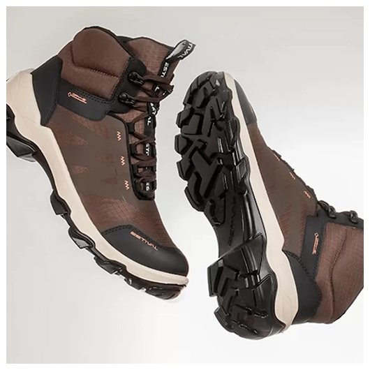 image_f5524a8d-ba5c-4179-a4df-a848365078d0