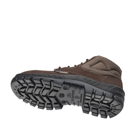 image_e17f9b0b-f442-4eb6-acbe-478f0758d43a