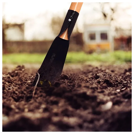 image_746ed085-1c8a-478a-a7be-5db727b5c6a1