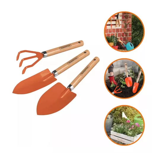 image_9252f97a-08d5-407d-b001-a6297520c8a2