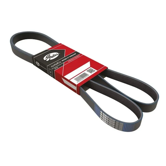 image_4cae7332-37b5-4faa-a6cc-7312b6522fd2