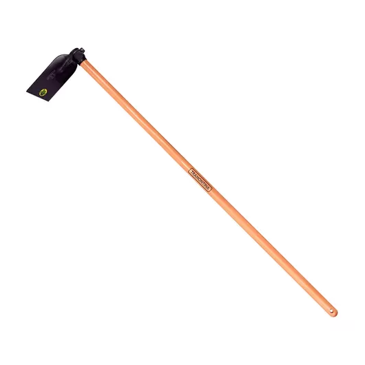 image_e13d175e-0847-46a0-83a6-e8dff3864175