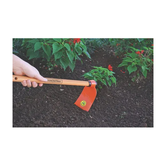 image_b2d44bac-1940-4162-9358-3d144f27253a