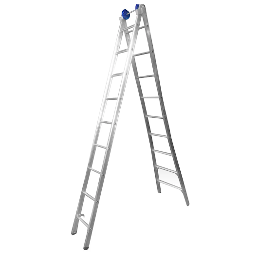 image_b1ce4317-b7ac-4100-888e-cf5f668264b3