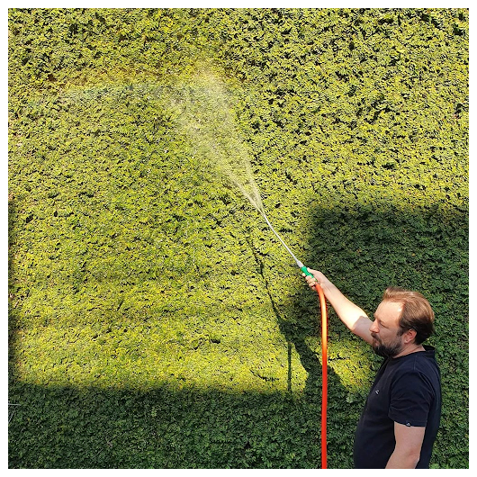 image_1b46bc5f-34b1-469d-9583-acc7c62aef1e