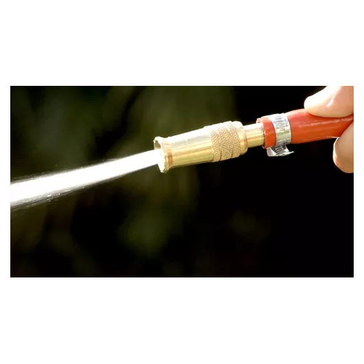 image_94d8b290-963d-4820-acb4-cc8f2959ebc4