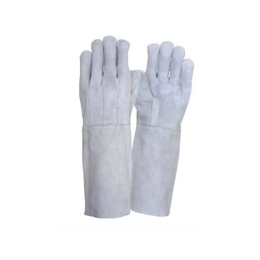 image_b936a549-d56b-424e-91f1-7bf4474bedaf