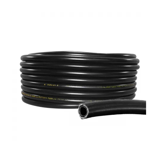 image_bbbdb33d-dc02-4419-9a62-4fae53f77600