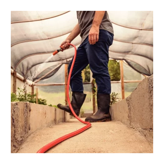 image_e012db46-8e10-44d2-8f73-8ba52306e85f