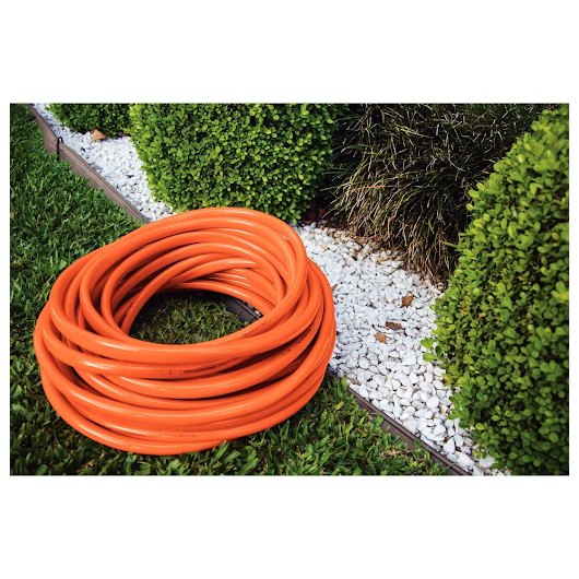 image_bd7ad7e1-fe98-4924-bcb9-0c65cb7e9b2b