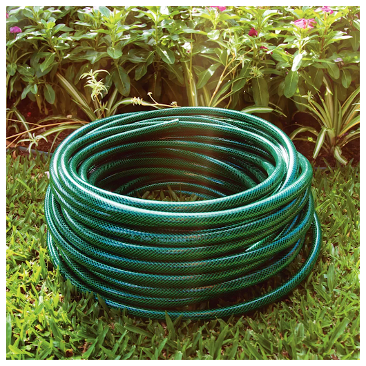 image_1b2678fc-b849-47ea-84c6-73caeca4115c