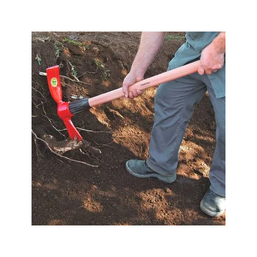 image_a1354068-efa7-4864-ae98-86dcdfa13c81