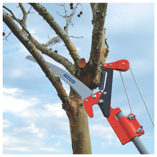 image_f8a3da61-3d3d-42b3-98eb-2b5f32cf8876