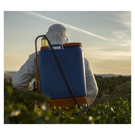 image_a7748a0b-8e65-4c88-b4a7-98546b0fa8f2