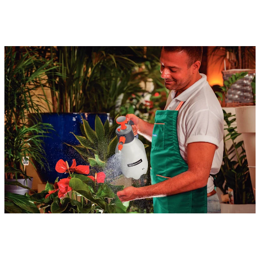 image_e4e30e61-287c-4b7a-b59a-32cd98a07de3