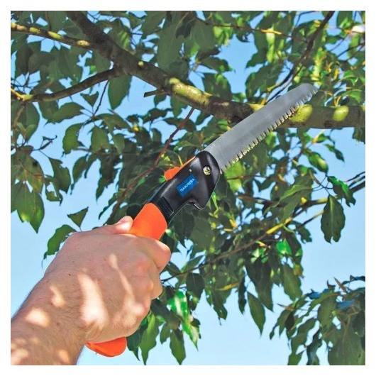 image_8ab3d3ca-1024-44b8-a4dd-e2fbf745c1f4