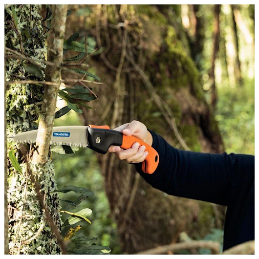 image_6be777eb-a3dc-4291-8704-3150abe7f898