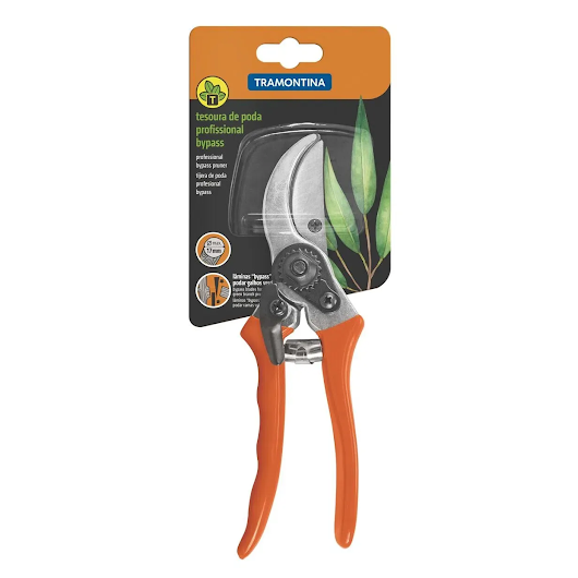 image_bdd1cf78-1098-4e62-93e1-7ff3ff3bf6c2