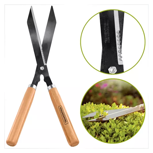 image_2a974a77-d245-4a19-b3b8-f4ea4673fddb