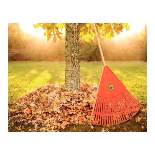 image_3030a3b3-b690-4fab-adc6-1b61fbd65855